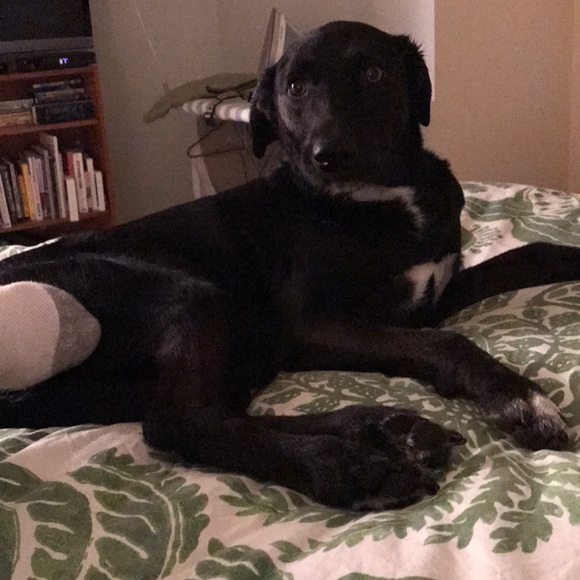 Meet your Posher, A - Picture 1 of 1